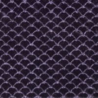 hgBabyModo-Bloom Blackberry